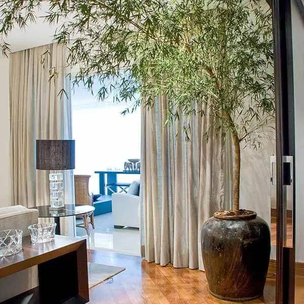 Bambu na parede