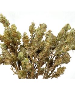 Maço de Flores Silvestres Artificial para Decoração 45cm