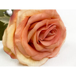 Haste de Rosa Artificial para Decoração 66cm