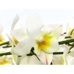 Haste de Flor Orquídea Artificial 104cm
