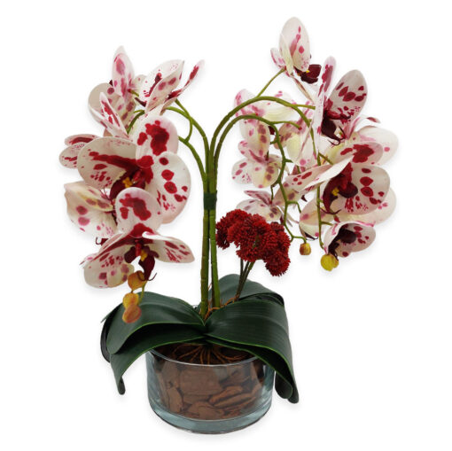 Arranjo de 4 orquideas branco com pintas vermelhas Artificial - Brasfama  Decorações