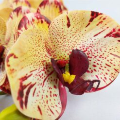Haste de Orquídea Artificial Decorativa 92cm