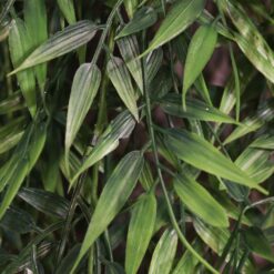 Pendente de Folhas de Bambu Artificial 84cm