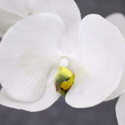 Haste de Orquídea Artificial 100 cm p/ Arranjo