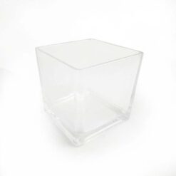 Vaso Quadrado de Vidro Médio Transparente 11,8cm