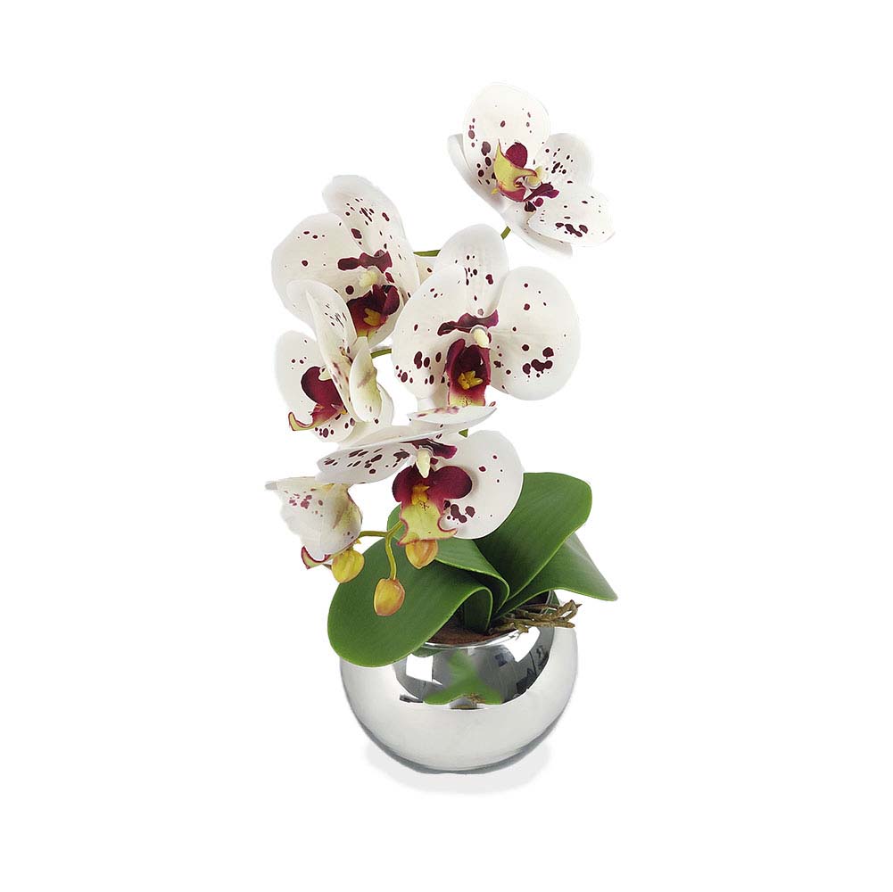 Confira as Promoções de Orquídea - Página 6 de 8 - Brasfama Decorações