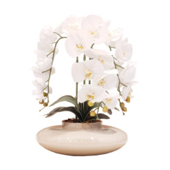 Arranjo de 3 Orquídeas Brancas Vaso Terrário Médio Nude
