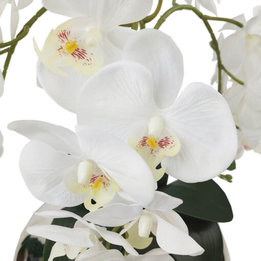 Arranjo de 3 Orquídeas Brancas Vaso Terrário Médio Espelhado 30cm