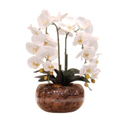 Arranjo de 2 Orquídeas Brancas Vaso de Vidro Médio