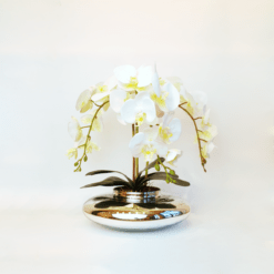 Arranjo de 3 Orquídeas Brancas Vaso Terrário Espelhado Médio V2