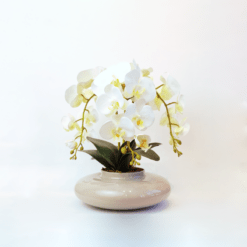 Arranjo de 3 Orquídeas Brancas Vaso Terrário Nude Médio V2