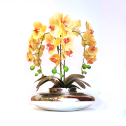 Arranjo De 3 Orquídeas Laranja Vaso Terrário Prata Espelhado