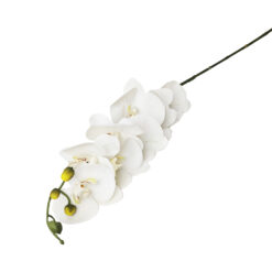 Haste de Orquídea Artificial 100cm Cor:Branca