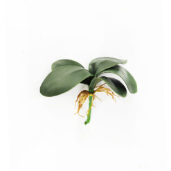Folha de Orquídea Artificial 28cm
