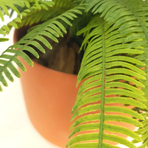 Arranjo de Samambaia em Vaso de Cerâmica Terracota Médio