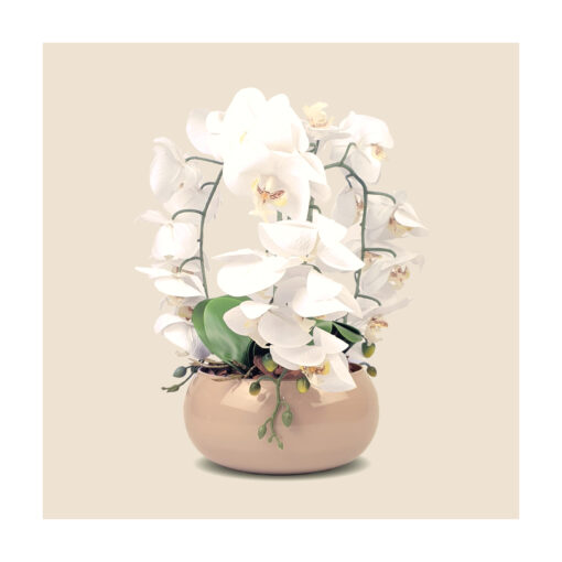 Arranjo de 3 Orquídeas Brancas Vaso Lagoon Pequeno Nude 23cm